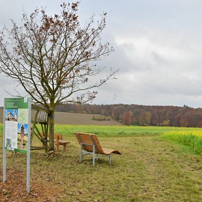 Mitten im Feld liegt der Ort des Gl�cks am H�usemer Berg. Hier hat man einen wunderbaren Blick auf das untere Taubertal bis in den Spessart hinein und bei guter Sicht sogar in die Rh�n.