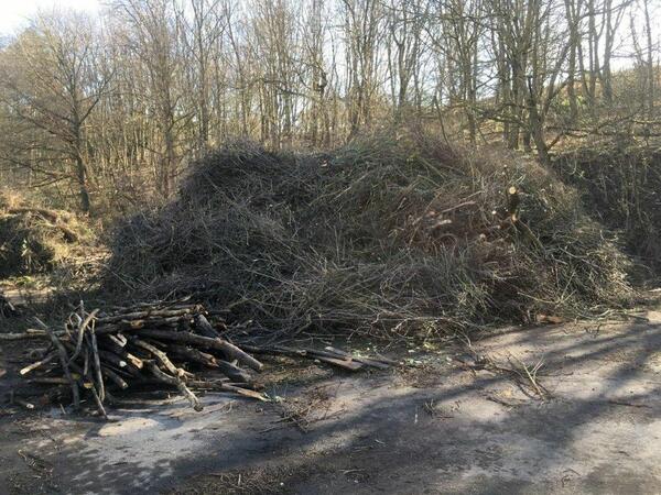 Entsorgung von Obstbaumschnittgut: Anfallendes Schnittgut kann noch bis Ende Mai kostenfrei an den Kompostpltzen im Kreis abgeliefert werden.