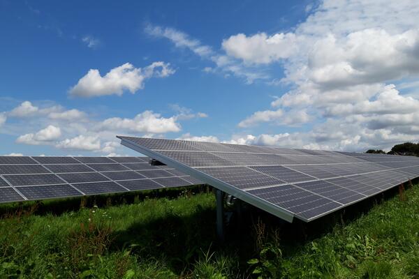 Außer der Freiflächen-PV-Anlage gibt es auch die Möglichkeit der Agrar-Photovoltaik: Die Energieagentur informiert hierzu am Donnerstag, 5. Mai, um 17.30 Uhr in einer Online-Veranstaltung.