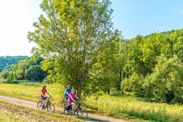 Fahrradtour durch das Taubertal: Die 1526 Teilnehmenden des Main-Tauber-Kreis legten bisher 221.200 Kilometer zur�ck.