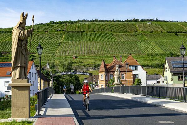 Fahrradfahrer auf dem Württemberger Weinradweg im Weinsüden-Weinort Markelsheim: Der ADFC hat den beliebten und circa 400 Kilometer langen Radweg mit vier Sternen ausgezeichnet. 