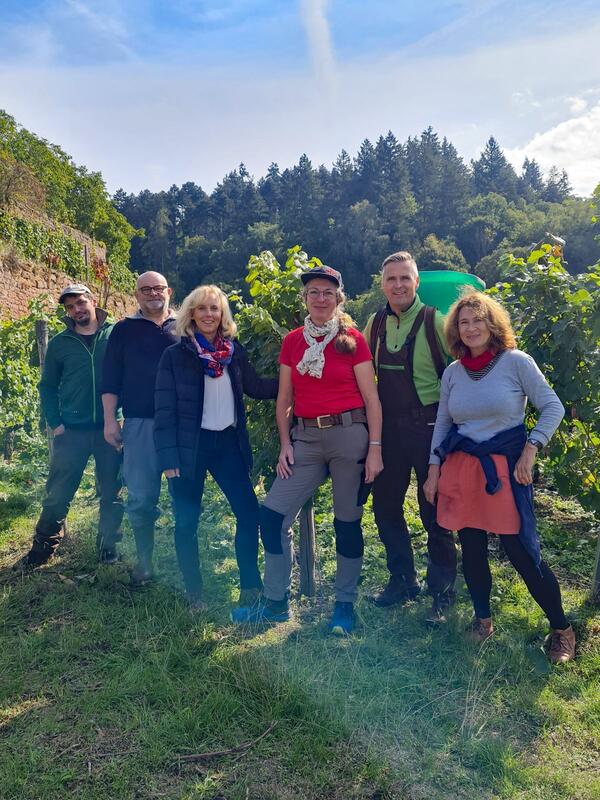 Bei der Weinlese im Josefsberg am Kloster Bronnbach: Hausmeister Fabian Albert, Betriebsleiter Peter Arnold vom Weingut Frst Lwenstein, Dezernentin Ursula Mhleck, Grtnerin Karin Pauly, Kulturamtsleiter Frank Mittnacht und Gabriele Nehrdich-Escher, verantwortlich fr die Vinothek und die Fhrungen.