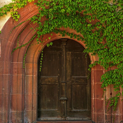 Foto von Elena Pfister