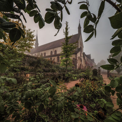 Foto von Rainer Schmidt (2)