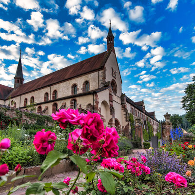 Foto von Rainer Schmidt (4)