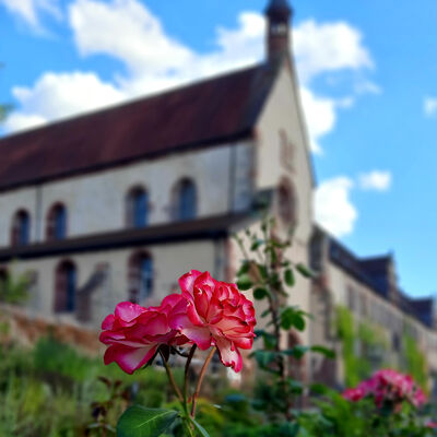 Foto von Sabine Moll