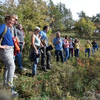 Lorenz Flad, Agrarbiologe und Geschftsfhrer des Kommunalen Landschaftspflegeverbandes Main-Tauber e.V., fhrte die Exkursionsgruppe durch das Naturschutzgebiet Wormental (Werbach) und erluterte die Pflegemanahmen der Kalkmagerrasen.