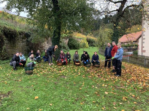 Quitten- und Apfelernte im Rahmen eines Teambildungsprojektes der Landkreisauszubildenden im Kloster Bronnbach: Die Frchte wurden zu Saft gepresst und in "Bag in Box" abgefllt. Aus einem Teil davon wurde im Landwirtschaftsamt in Bad Mergentheim Quittengelee produziert.