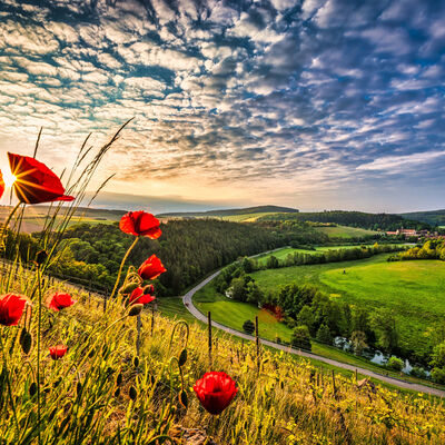 Platz 2: Foto von Rainer Schmidt