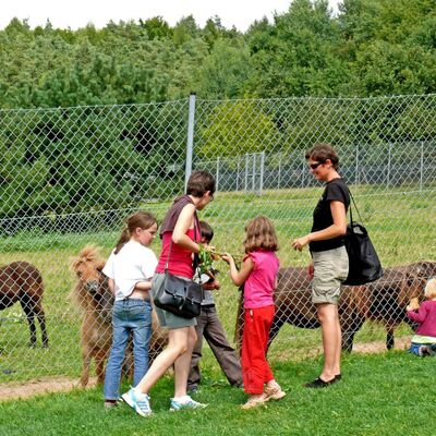 Rauch-Zoo Freudenberg