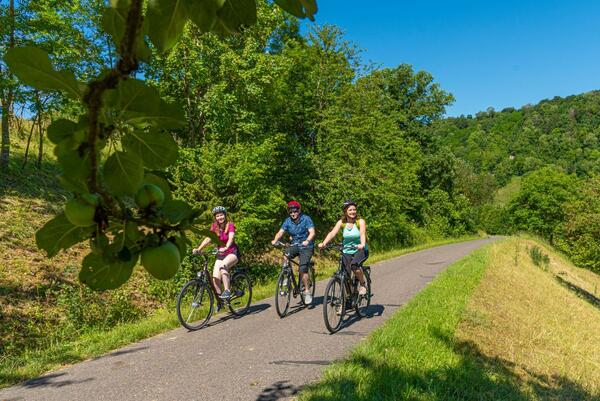 Der Radweg "Liebliches Taubertal - Der Klassiker" hat die Leserinnen und Leser der Zeitschrift "Bike & Travel" berzeugt: Er belegt in der Kategorie "Die beliebtesten Flussrouten" den zweiten Platz.