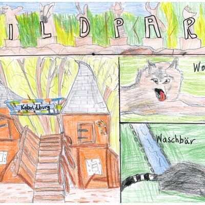 Phil Höck, 8 Jahre, aus Assamstadt, ist gerne im Wildpark Bad Mergentheim: Seine Lieblingstiere sind die Wölfe und Waschbären und auch die Koboldburg findet er super zum Klettern und Spielen.