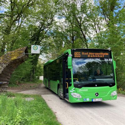 Der Wildparkbus der Linie 955 an der Haltestelle Wildpark: Die Linie f�hrt zwischen dem 1. Mai und dem 31. Oktober von der Stadt Bad Mergentheim zum Wildpark. 