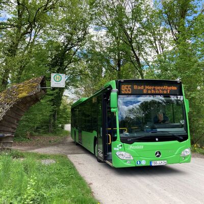 Der Wildparkbus der Linie 955 an der Haltestelle Wildpark: Die Linie fhrt zwischen dem 1. Mai und dem 31. Oktober von der Stadt Bad Mergentheim zum Wildpark. 