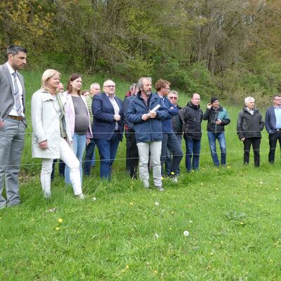 Die Brgermeisterinnen und Brgermeister des Main-Tauber-Kreises informierten sich ber die extensive Beweidung mit Zebus im Amorsbachtal.