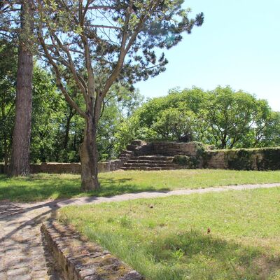 Au&szlig;engel&auml;nde des Rienecksaals