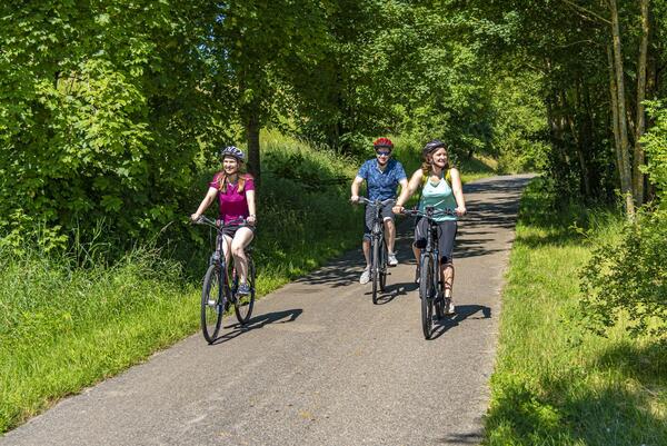 Fahrradtour durch das Taubertal: Die aktuell 1667 Teilnehmenden aus dem Main-Tauber-Kreis sammelten beim Stadtradeln bisher 239.400 Kilometer. 