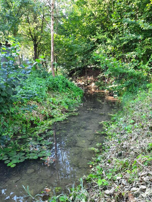 Der Hachteler Bach im gleichnamigen Stadtteil von Bad Mergentheim: In Flssen und Bchen wird aktuell das Wasser knapp, das Landratsamt schrnkt deshalb die Entnahme per Allgemeinverfgung ein.