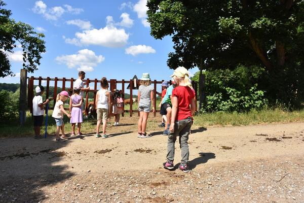 Tiere fttern auf dem Bauernhof in Pfitzingen: Rund 70 Pflegeeltern und -kinder nahmen am Ausflug des Pflegekinderdienstes des Jugendamtes Main-Tauber-Kreis teil.