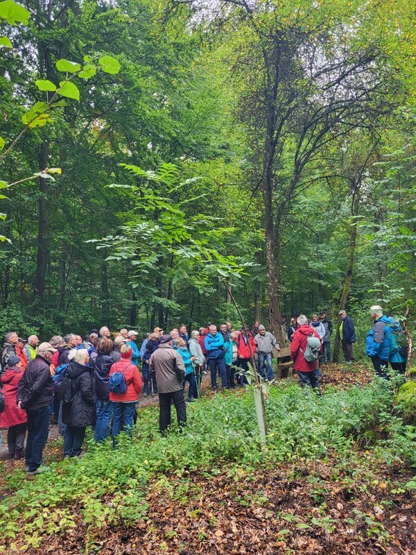 Bild vergr&ouml;&szlig;ern: Im Bild sieht man Waldpädagoge Tobias Hornung umkreist von Wandernden im Stammbergwald.